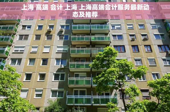 上海 高端 会计 上海 上海高端会计服务最新动态及推荐
