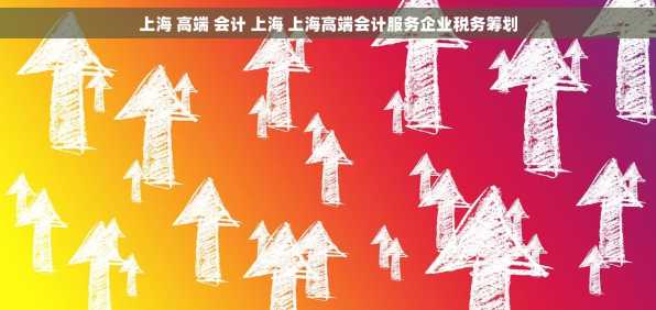 上海 高端 会计 上海 上海高端会计服务企业税务筹划