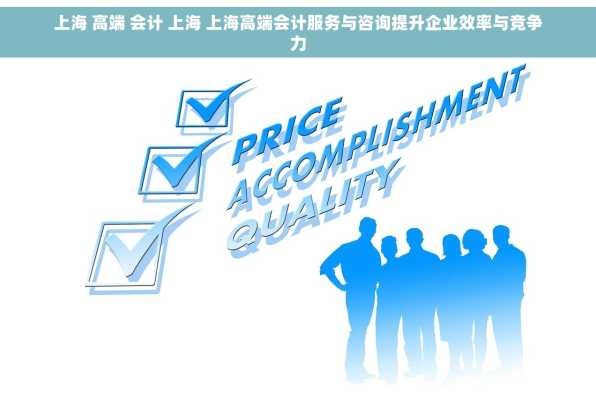 上海 高端 会计 上海 上海高端会计服务与咨询提升企业效率与竞争力