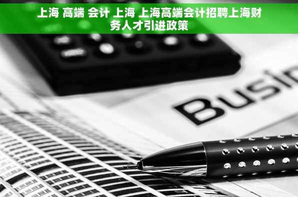 上海 高端 会计 上海 上海高端会计招聘上海财务人才引进政策