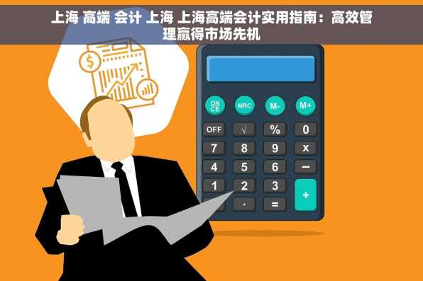 上海 高端 会计 上海 上海高端会计实用指南：高效管理赢得市场先机
