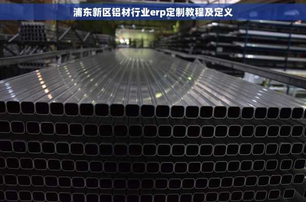 浦东新区铝材行业erp定制教程及定义
