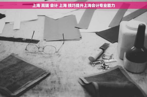 上海 高端 会计 上海 技巧提升上海会计专业能力