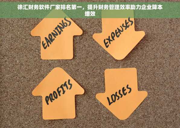 徐汇财务软件厂家排名第一，提升财务管理效率助力企业降本增效