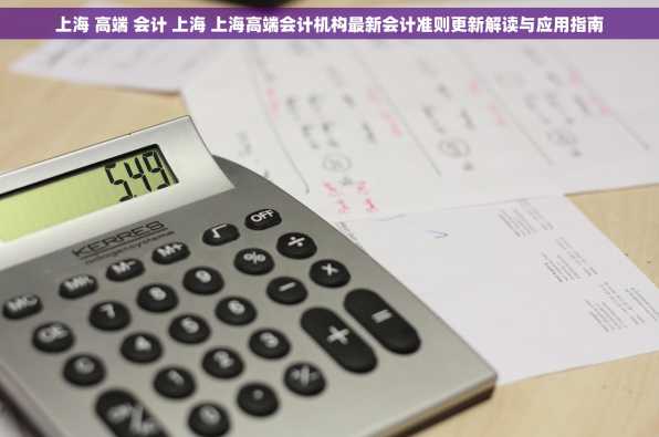 上海 高端 会计 上海 上海高端会计机构最新会计准则更新解读与应用指南