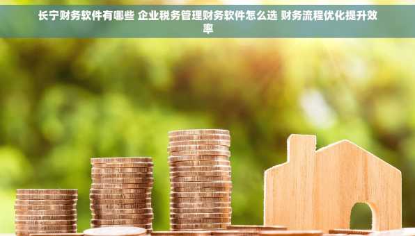长宁财务软件有哪些 企业税务管理财务软件怎么选 财务流程优化提升效率