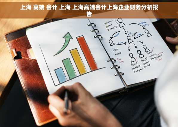 上海 高端 会计 上海 上海高端会计上海企业财务分析报告