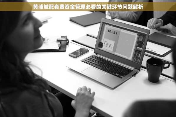 黄浦城配套费资金管理必看的关键环节问题解析