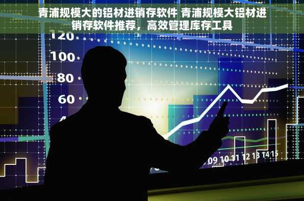 青浦规模大的铝材进销存软件 青浦规模大铝材进销存软件推荐，高效管理库存工具