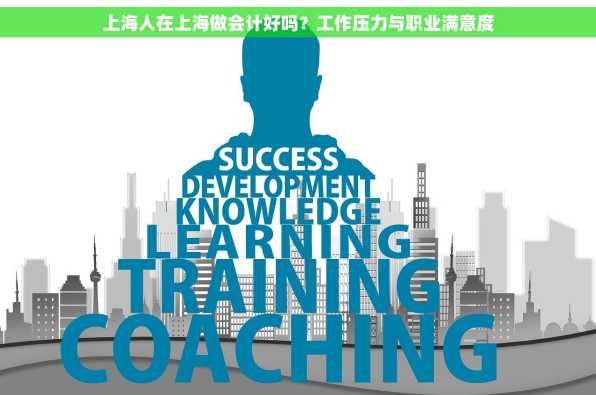 上海人在上海做会计好吗？工作压力与职业满意度