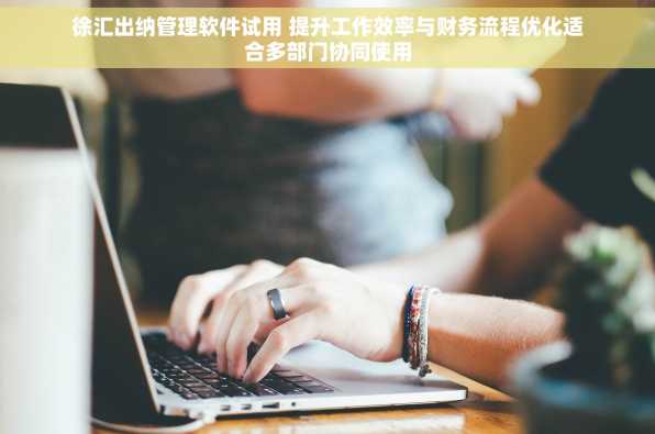 徐汇出纳管理软件试用 提升工作效率与财务流程优化适合多部门协同使用