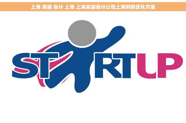 上海 高端 会计 上海 上海高端会计公司上海财税优化方案