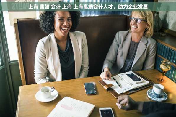 上海 高端 会计 上海 上海高端会计人才，助力企业发展