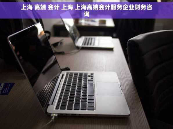 上海 高端 会计 上海 上海高端会计服务企业财务咨询