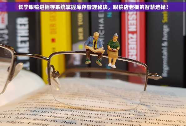 长宁眼镜进销存系统掌握库存管理秘诀，眼镜店老板的智慧选择！