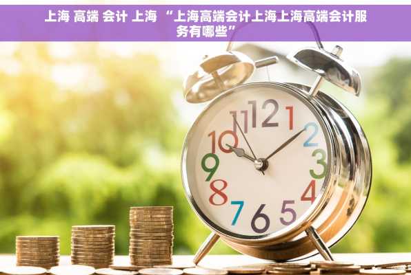 上海 高端 会计 上海 “上海高端会计上海上海高端会计服务有哪些”