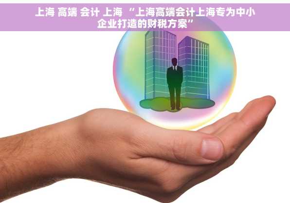 上海 高端 会计 上海 “上海高端会计上海专为中小企业打造的财税方案”