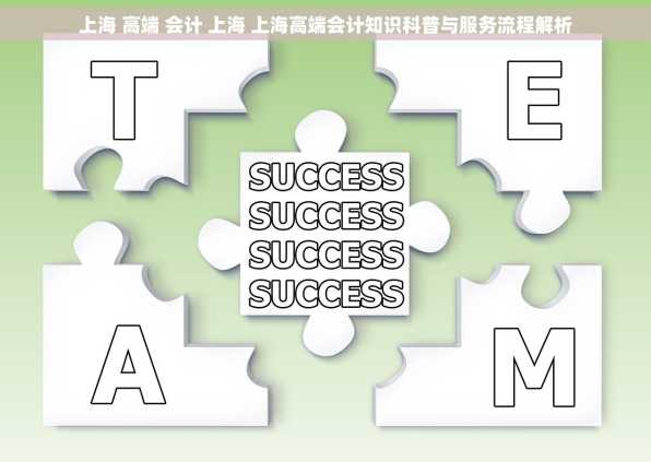 上海 高端 会计 上海 上海高端会计知识科普与服务流程解析