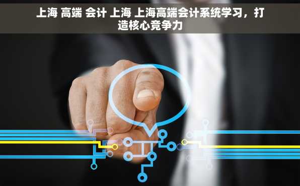 上海 高端 会计 上海 上海高端会计系统学习，打造核心竞争力