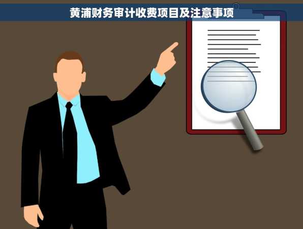 黄浦财务审计收费项目及注意事项