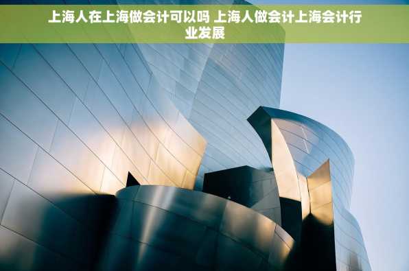 上海人在上海做会计可以吗 上海人做会计上海会计行业发展