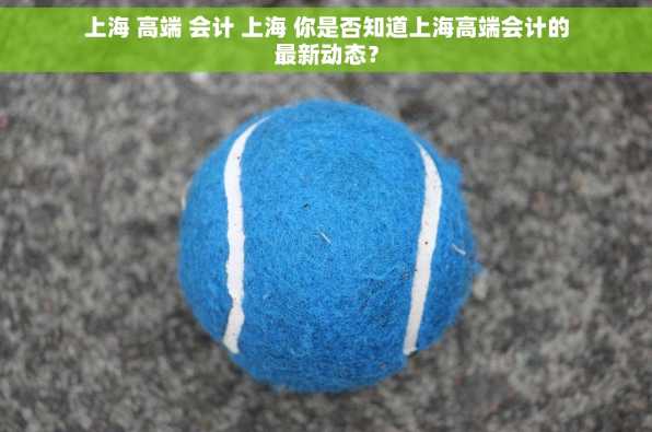 上海 高端 会计 上海 你是否知道上海高端会计的最新动态？