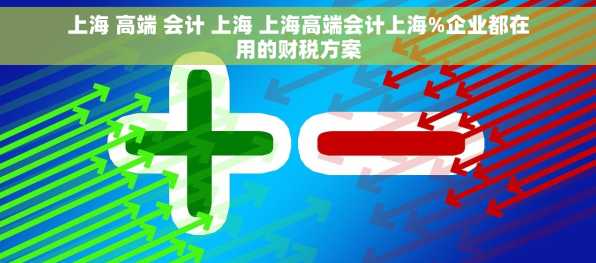 上海 高端 会计 上海 上海高端会计上海%企业都在用的财税方案