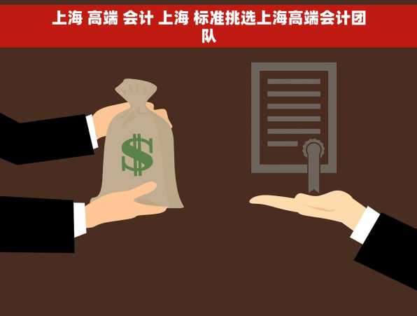 上海 高端 会计 上海 标准挑选上海高端会计团队