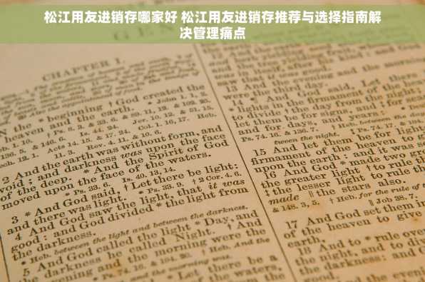 松江用友进销存哪家好 松江用友进销存推荐与选择指南解决管理痛点