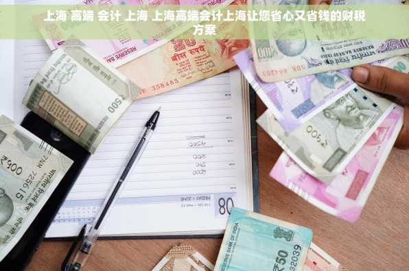 上海 高端 会计 上海 上海高端会计上海让您省心又省钱的财税方案