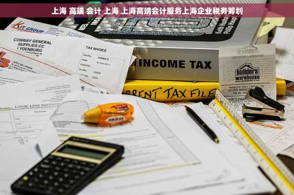 上海 高端 会计 上海 上海高端会计服务上海企业税务筹划