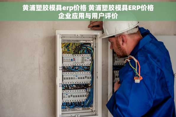 黄浦塑胶模具erp价格 黄浦塑胶模具ERP价格企业应用与用户评价