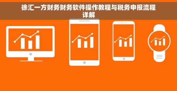 徐汇一方财务财务软件操作教程与税务申报流程详解