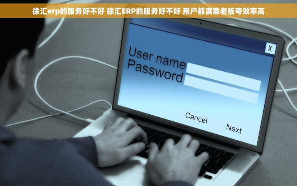 徐汇erp的服务好不好 徐汇ERP的服务好不好 用户都满意老板夸效率高