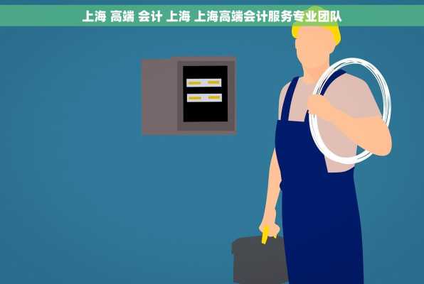 上海 高端 会计 上海 上海高端会计服务专业团队