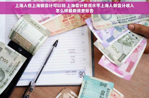 上海人在上海做会计可以吗 上海会计薪资水平上海人做会计收入怎么样最新调查报告