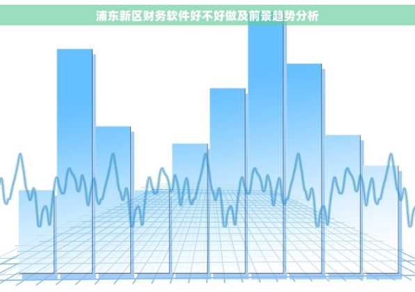 浦东新区财务软件好不好做及前景趋势分析