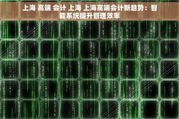 上海 高端 会计 上海 上海高端会计新趋势：智能系统提升管理效率