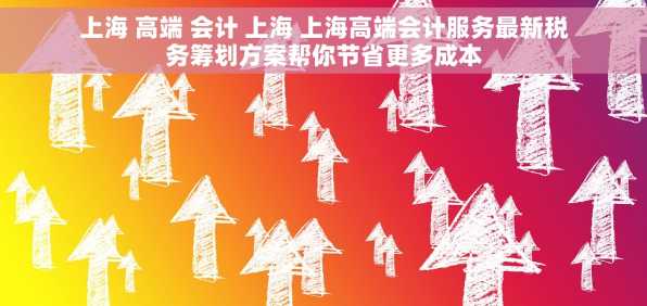 上海 高端 会计 上海 上海高端会计服务最新税务筹划方案帮你节省更多成本