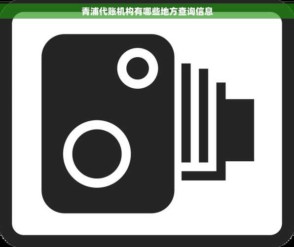 青浦代账机构有哪些地方查询信息