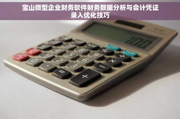 宝山微型企业财务软件财务数据分析与会计凭证录入优化技巧