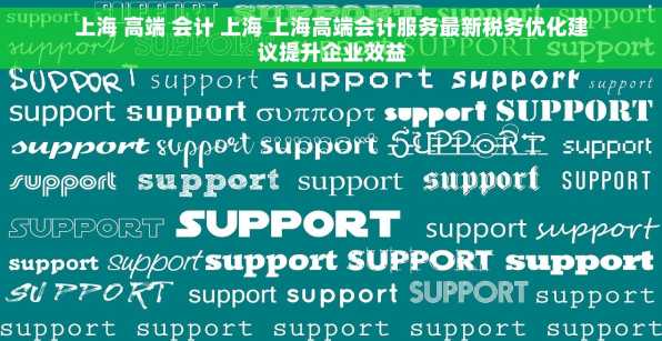 上海 高端 会计 上海 上海高端会计服务最新税务优化建议提升企业效益