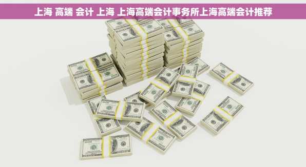 上海 高端 会计 上海 上海高端会计事务所上海高端会计推荐
