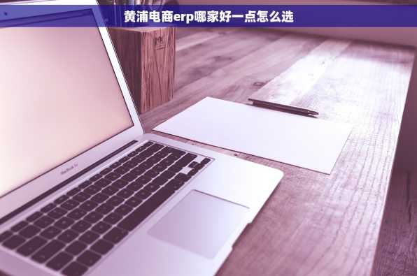 黄浦电商erp哪家好一点怎么选