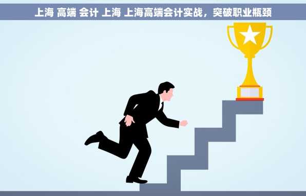 上海 高端 会计 上海 上海高端会计实战，突破职业瓶颈