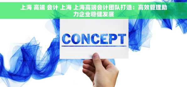 上海 高端 会计 上海 上海高端会计团队打造：高效管理助力企业稳健发展