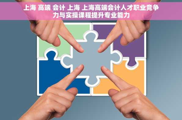 上海 高端 会计 上海 上海高端会计人才职业竞争力与实操课程提升专业能力