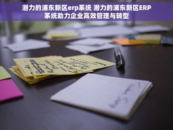 潜力的浦东新区erp系统 潜力的浦东新区ERP系统助力企业高效管理与转型