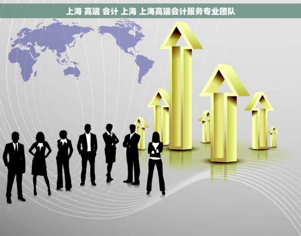 上海 高端 会计 上海 上海高端会计服务专业团队
