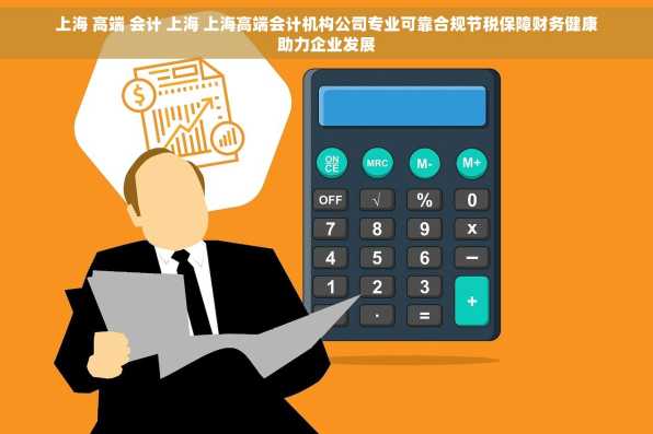 上海 高端 会计 上海 上海高端会计机构公司专业可靠合规节税保障财务健康助力企业发展